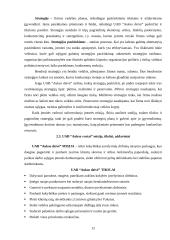 Strateginis planavimas: UAB "Aukso deivė" 12 puslapis