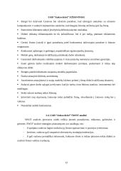 Strateginis planavimas: UAB "Aukso deivė" 13 puslapis