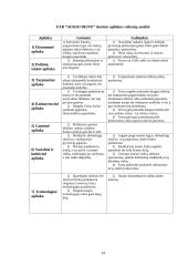 Strateginis planavimas: UAB "Aukso deivė" 14 puslapis