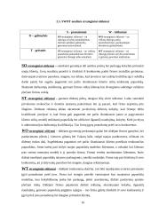 Strateginis planavimas: UAB "Aukso deivė" 16 puslapis