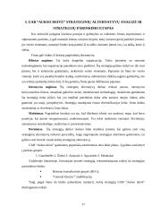Strateginis planavimas: UAB "Aukso deivė" 17 puslapis