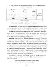 Strateginis planavimas: UAB "Aukso deivė" 18 puslapis