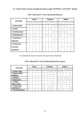 Strateginis planavimas: UAB "Aukso deivė" 19 puslapis