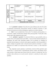 Strateginis planavimas: UAB "Aukso deivė" 20 puslapis