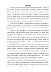 Strateginis planavimas: UAB "Aukso deivė" 3 puslapis