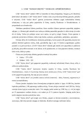 Strateginis planavimas: UAB "Aukso deivė" 5 puslapis
