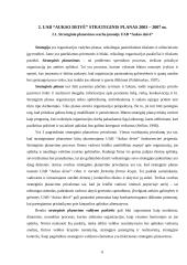 Strateginis planavimas: UAB "Aukso deivė" 6 puslapis