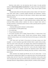 Strateginis planavimas: UAB "Aukso deivė" 7 puslapis