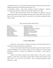 Stresas darbe: teorinė analizė plastiko ir metalo apdirbimo ceche 7 puslapis