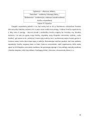 Studentiškų švenčių pasiūlos ir paklausos analizė 18 puslapis