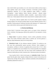 Studentiškų švenčių pasiūlos ir paklausos analizė 4 puslapis