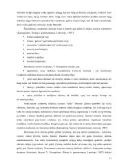 Sutuoktinių vaidmenys šeimoje 11 puslapis