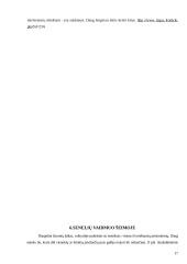 Sutuoktinių vaidmenys šeimoje 17 puslapis