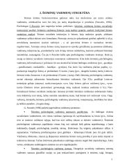 Sutuoktinių vaidmenys šeimoje 5 puslapis