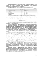 Suvenyrinės reklamos agentūros steigimas 12 puslapis