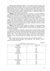 Suvenyrinės reklamos agentūros steigimas 13 puslapis