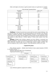 Suvenyrinės reklamos agentūros steigimas 14 puslapis