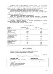 Suvenyrinės reklamos agentūros steigimas 15 puslapis