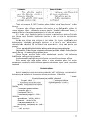 Suvenyrinės reklamos agentūros steigimas 16 puslapis