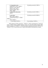 Suvenyrinės reklamos agentūros steigimas 17 puslapis