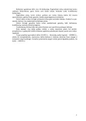 Suvenyrinės reklamos agentūros steigimas 4 puslapis