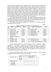 Suvenyrinės reklamos agentūros steigimas 7 puslapis