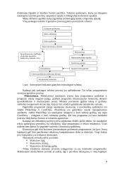 Suvenyrinės reklamos agentūros steigimas 9 puslapis