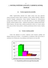 Šeimos vaidmenų kitimas. Moterų požiūrio analizė 13 puslapis