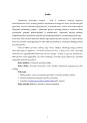 Tarptautinė ekonomikos politika 2 puslapis