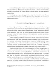 Tarptautinės ir nacionalinės teisės santykis 20 puslapis