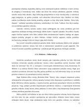 Tarptautinės prekybos ir investavimo teorijos 11 puslapis