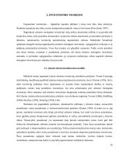 Tarptautinės prekybos ir investavimo teorijos 17 puslapis