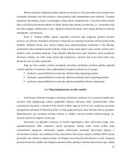 Tarptautinės prekybos ir investavimo teorijos 18 puslapis