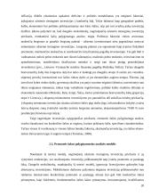 Tarptautinės prekybos ir investavimo teorijos 19 puslapis