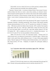 Tarptautinės valiutinės sistemos raidos etapai 15 puslapis