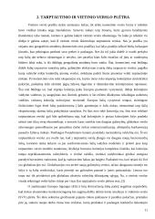 Tarptautinio ir vietinio verslo panašumai ir skirtumai 11 puslapis