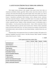 Tarptautinio ir vietinio verslo panašumai ir skirtumai 17 puslapis