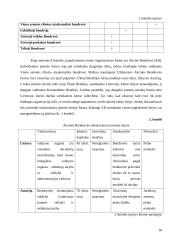 Tarptautinio ir vietinio verslo panašumai ir skirtumai 18 puslapis