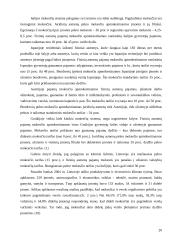 Tarptautinio ir vietinio verslo panašumai ir skirtumai 20 puslapis