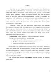 Tarptautinio ir vietinio verslo panašumai ir skirtumai 3 puslapis