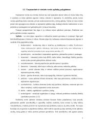 Tarptautinio ir vietinio verslo panašumai ir skirtumai 5 puslapis