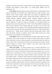 Tarptautinio ir vietinio verslo panašumai ir skirtumai 6 puslapis