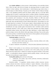 Tarptautinio ir vietinio verslo panašumai ir skirtumai 7 puslapis