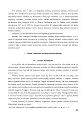 Tarptautinių ginčų sprendimas 11 puslapis