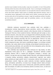 Tarptautinių ginčų sprendimas 13 puslapis