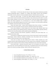 Teisės taikymo stadijos 12 puslapis