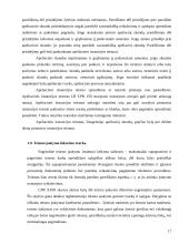 Teisės žinių taikymas praktikos metu 17 puslapis