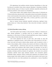 Teisės žinių taikymas praktikos metu 19 puslapis