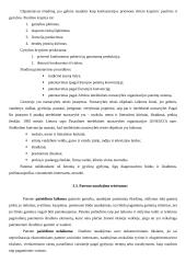 Teisinis inovacijų juridinio apiforminimo, naudojimo ir aktyvinimo reglamentavimas 11 puslapis