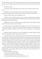 Teisinis inovacijų juridinio apiforminimo, naudojimo ir aktyvinimo reglamentavimas 4 puslapis